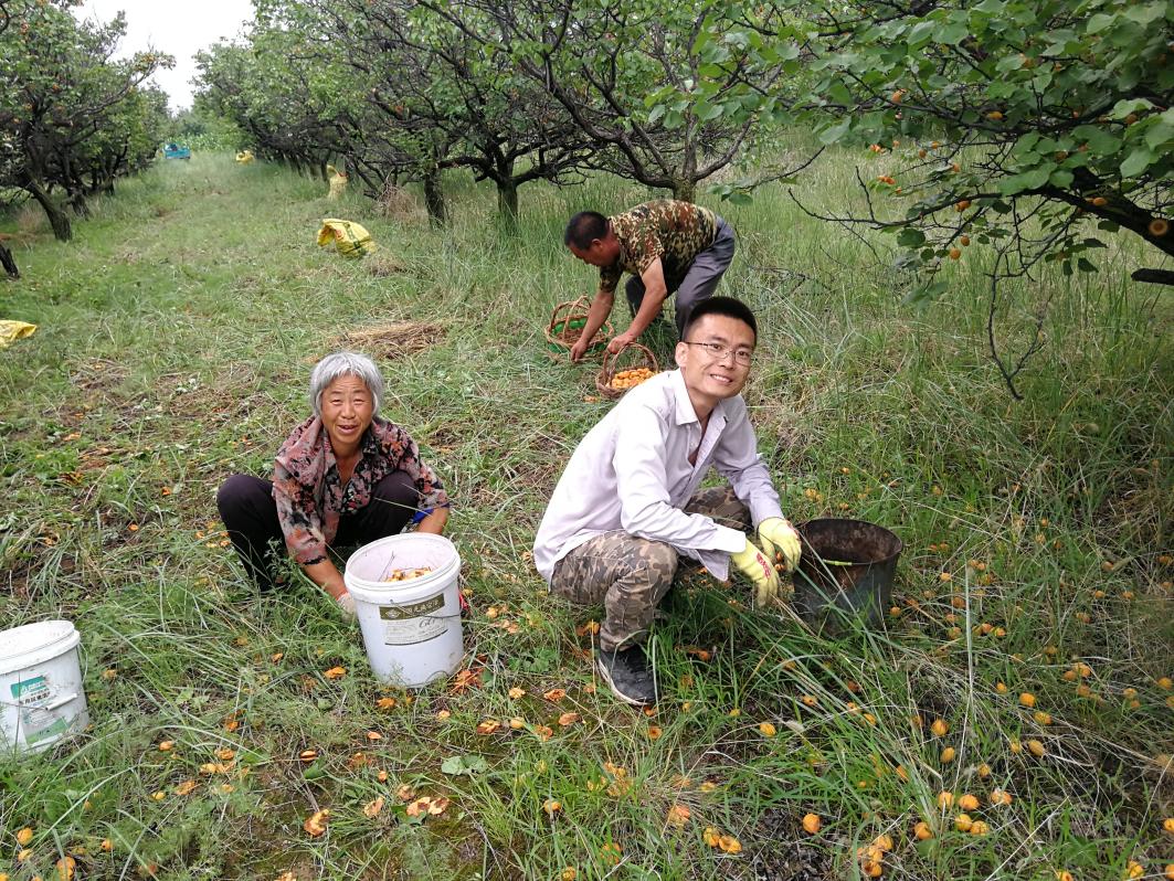 东谷它种地 东谷它种地