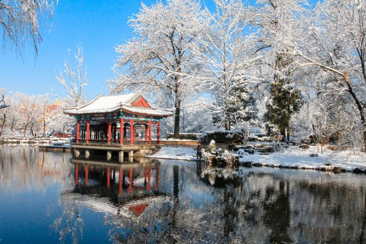 20250423-114 周年校庆｜心博在线登录入口离退休教职工书画作品展和摄影作品展开幕-段鸿杰-作品名称：《校园雪韵》作者：费润升.png