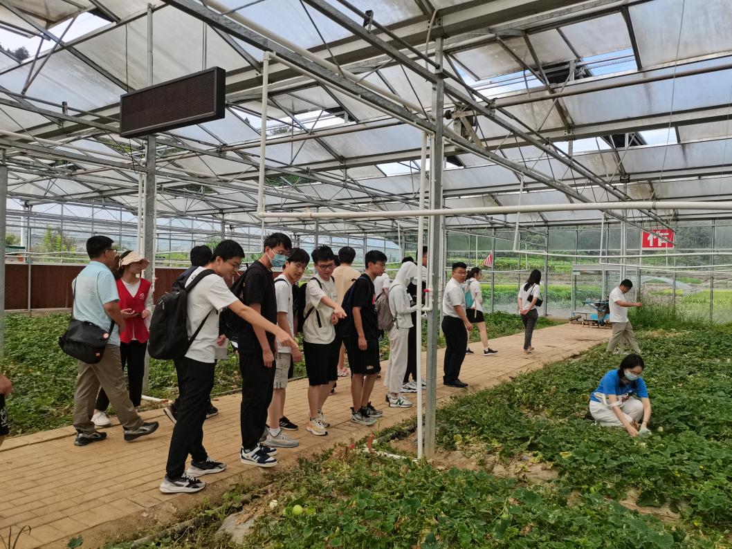 20220808-0814-心博在线登录入口“林枫计划”师生赴江西赣县区调研实践-马小涵摄-支队师生参观五云镇夏潭村蔬菜研学基地.jpg