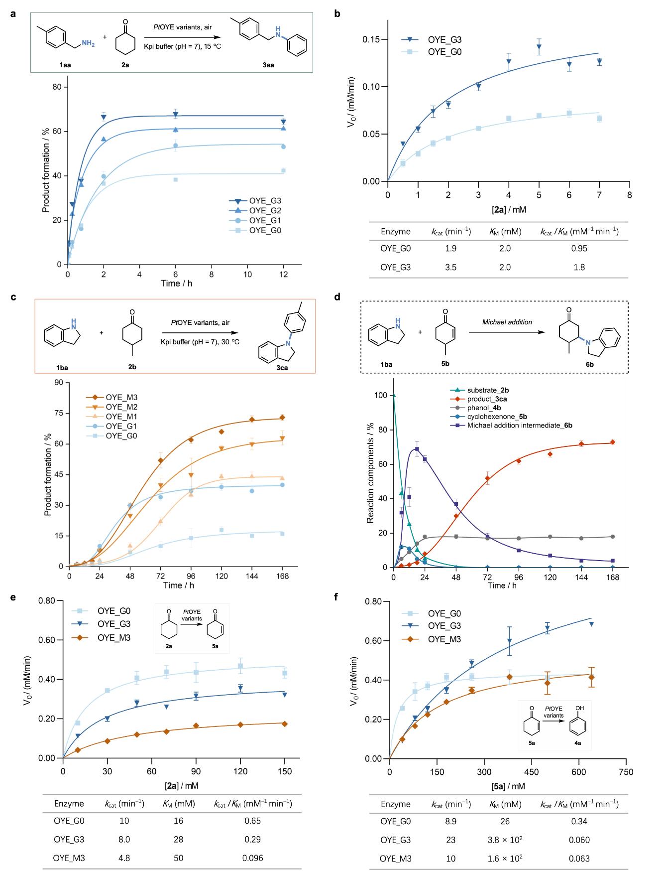 20250409-Angew. Chem. -刘臻-4. 苯胺合成酶系统的动力学研究.jpg