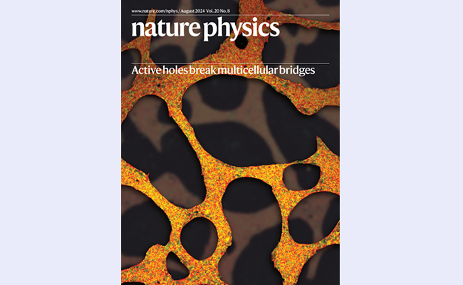 空白背景new - 副本.jpg