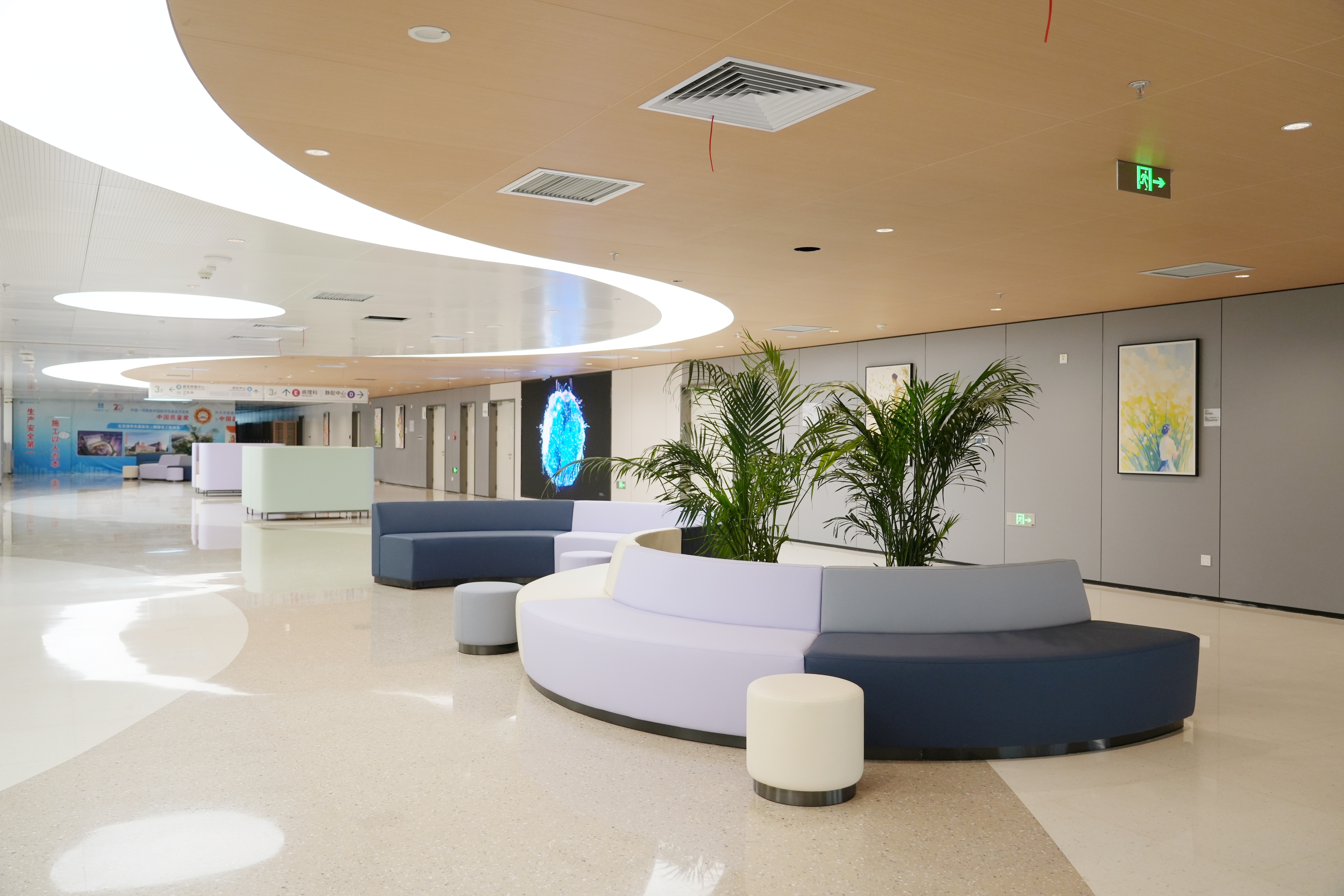20250528-二期开业7-医院供稿-医院供稿.jpg