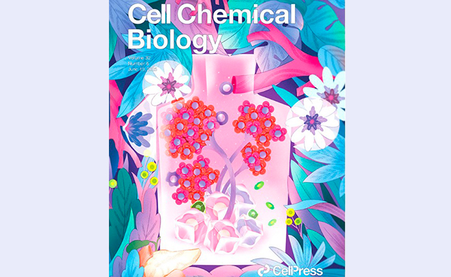 空白背景new1 - 副本.jpg