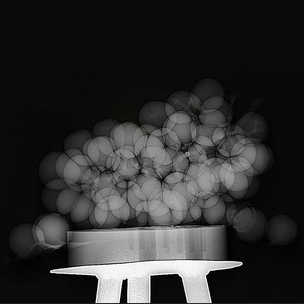 20230117-X 艺术国际创新工作坊-毕文立-X光下的葡萄.jpg