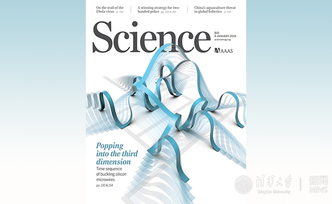 空白背景 - 2.jpg